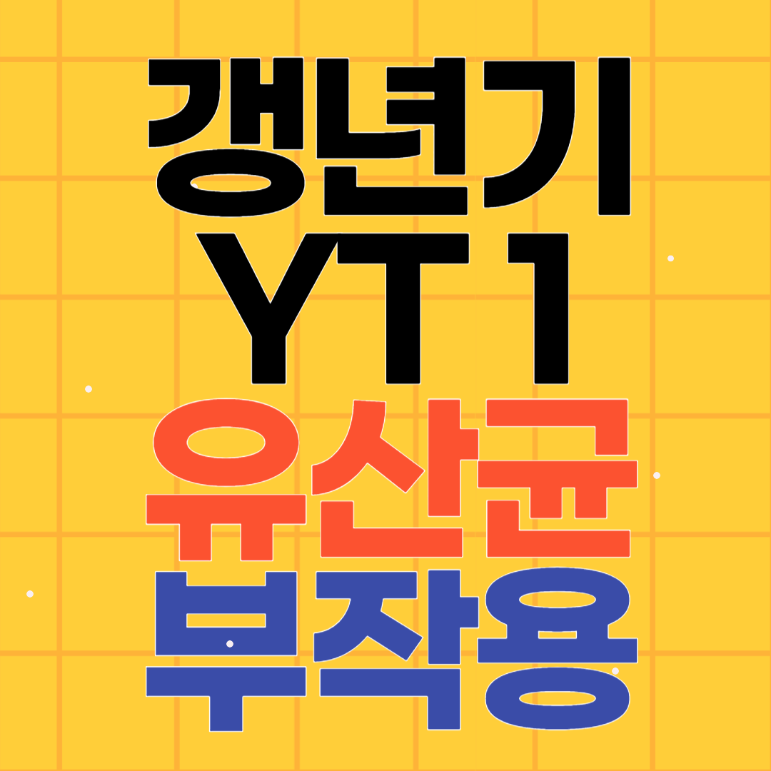 갱년기 유산균 YT 1 부작용