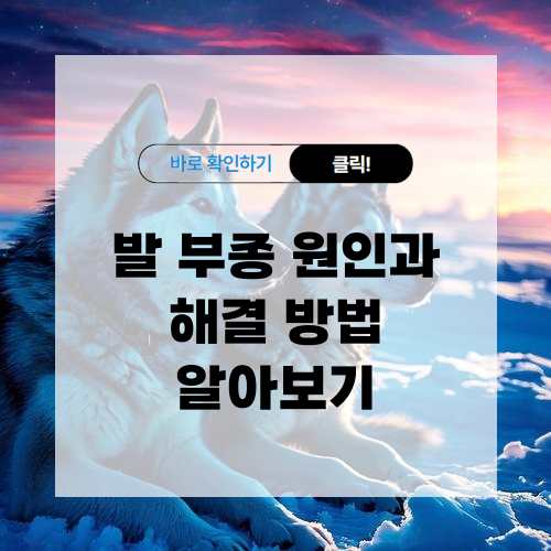 발 부종 원인과 해결 방법 알아보기