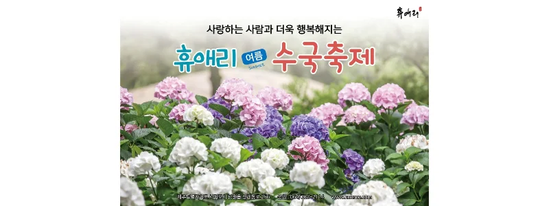  휴애리 여름 "수국" 축제- 제주여행의 필수 코스