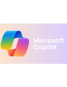 MS Copilot