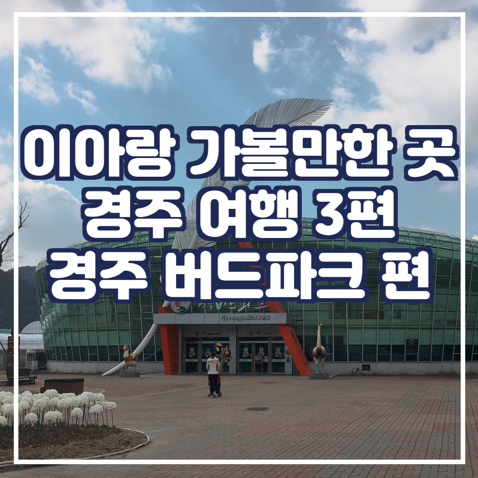  주말 아이랑 가족 나들이 / 경주 가볼만한 곳  [경주 버드 파크 편]