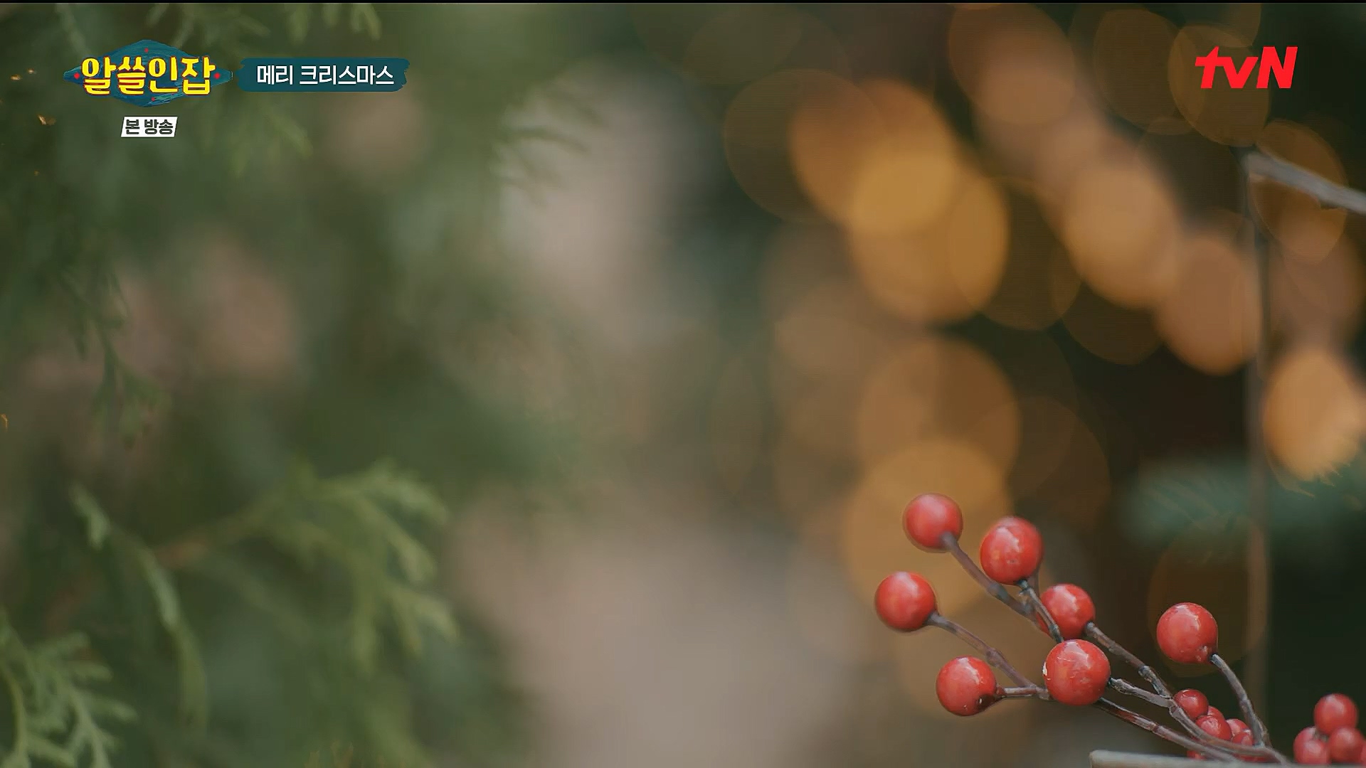 알쓸인잡.E04.221223p.H264-F1RST.mp4_20230115_195602.949.jpg