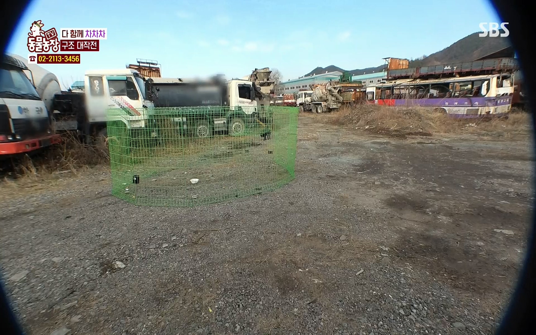 TV 동물농장.E1063.220403p.H264-F1RST.mp4_20220403_175117.196.jpg