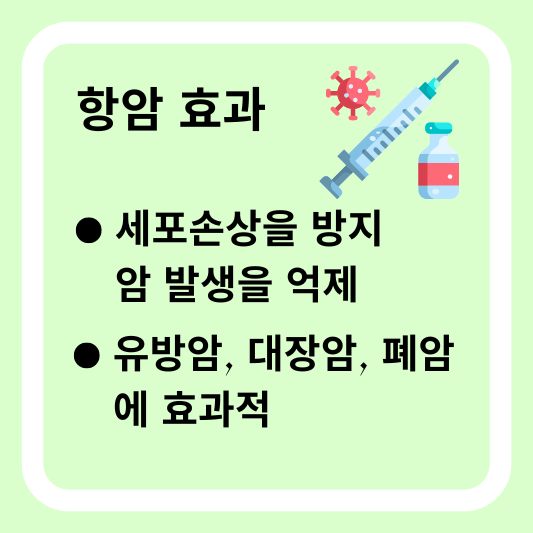 항암 효과