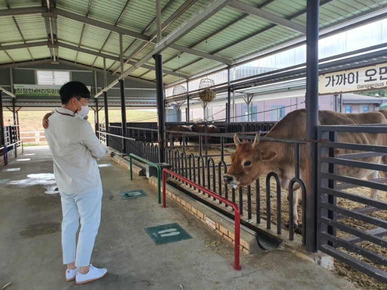 평일 입장료 할인행사 중 안성팜랜드 동물체험 핑크뮬리, 5