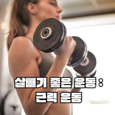 근력운동