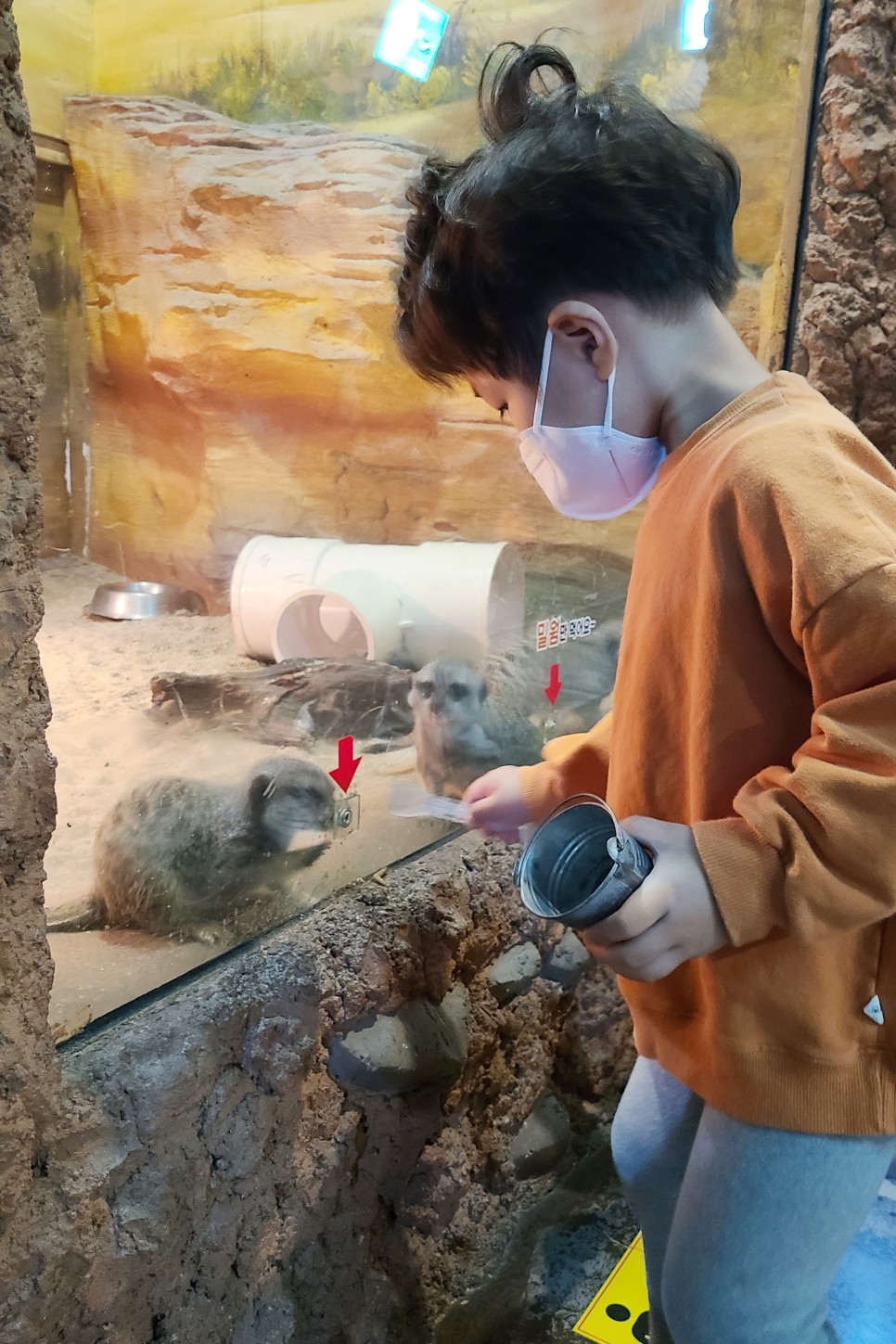 부천 아쿠아리움 부천 아쿠아리움먹이주기 체험 12