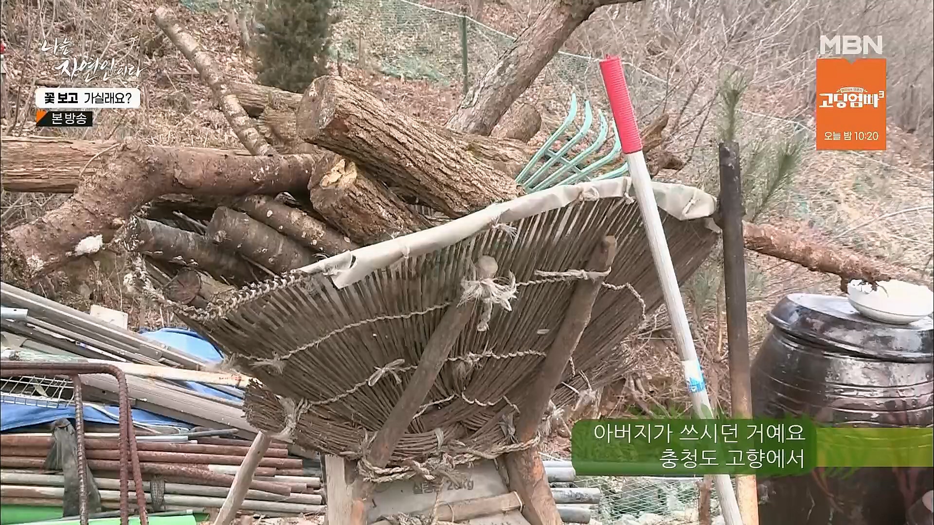 나는 자연인이다.E545.230315p.H264-F1RST.mp4_20230316_212101.272.jpg