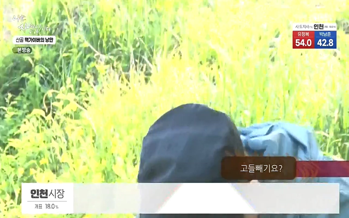 나는 자연인이다.E504.220602p-NEXT.mp4_20220602_201453.760.jpg