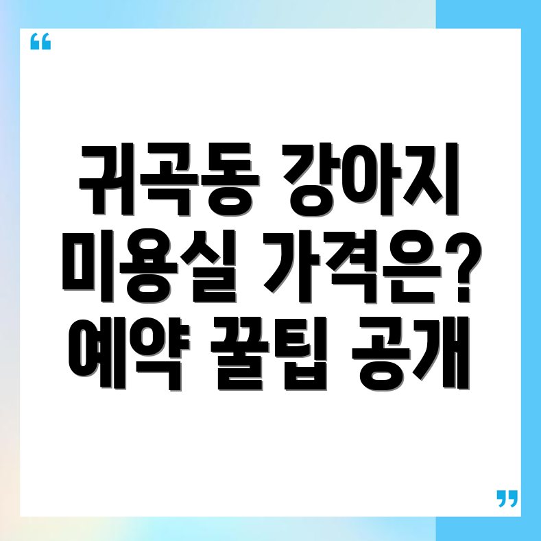 강아지 미용실