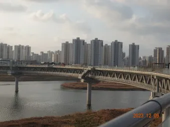 세종 가볼만한곳 베스트10 여행 놀거리 맛집 알아보기_29