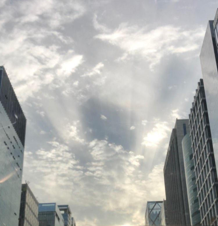  조직을 하나로 묶어주는 WE 프로젝트