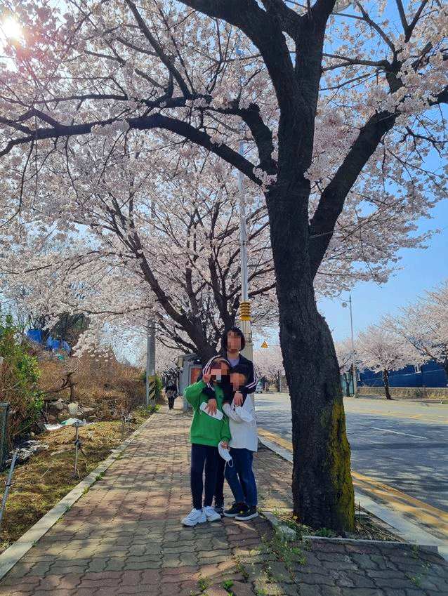벚꽃과-가족사진
