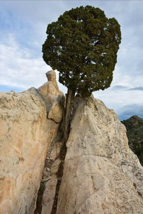 img.jpg