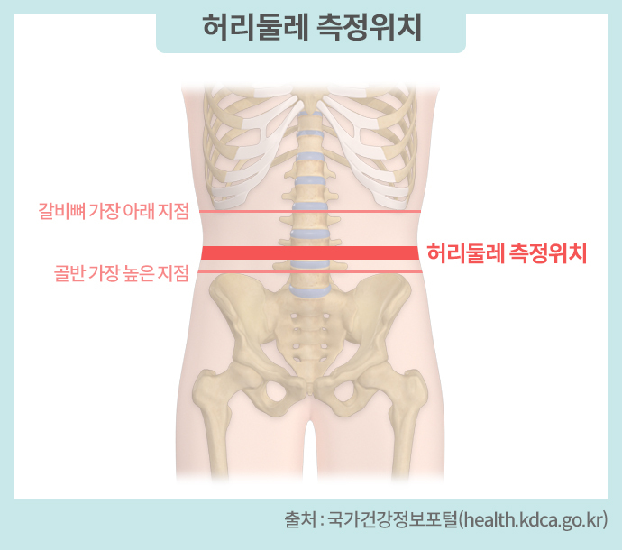  비만 어떻게 관리해야 할까요?