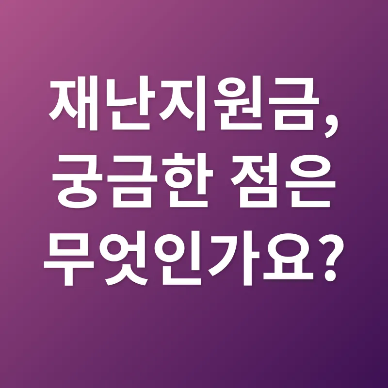 재난지원금_4