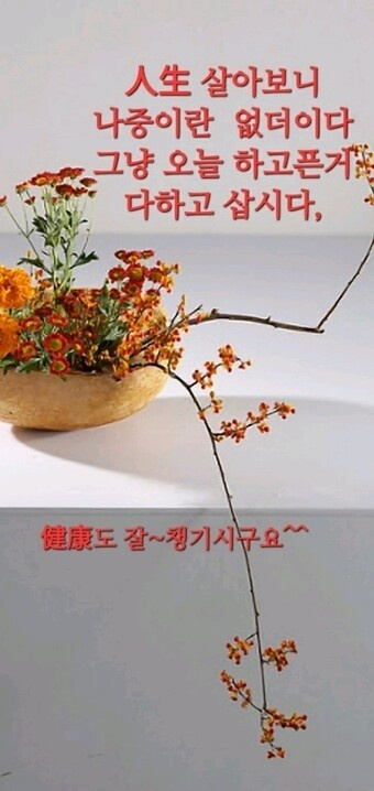 나이엔 졸업이 없고 즐거움엔 정년이 19