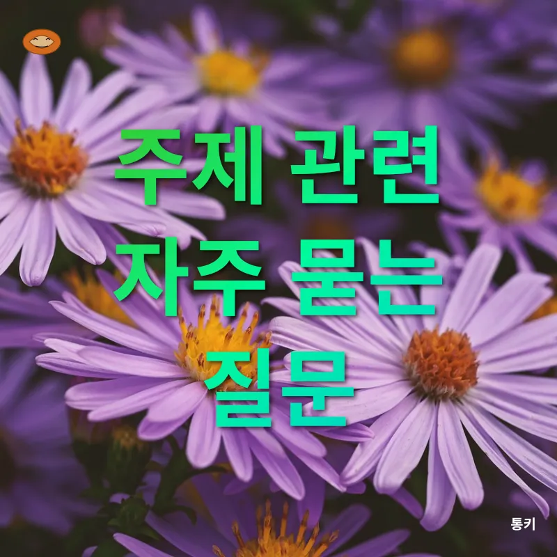 마장호수와 함께하는 경기 파주의 아름다운 가을 여행_4