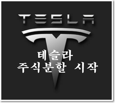  테슬라 주식분할 주식가격 상승 이유는?