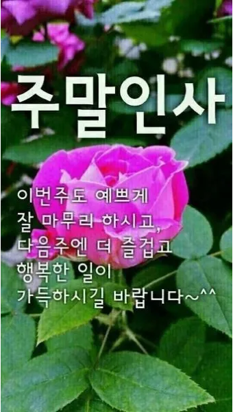 6월 인사말 모음집 이미지 문구 이미지 모음_14