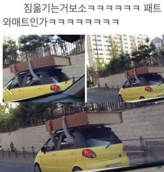  이사할 때 짐옮기는 간단한 방법