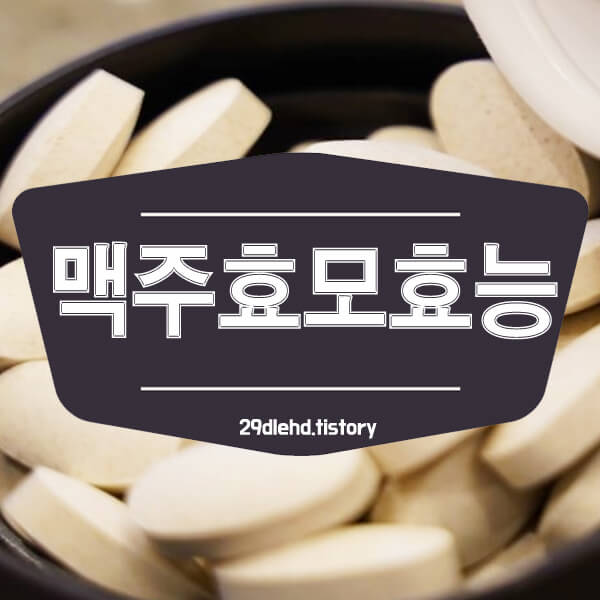 알약으로-만든-맥주효모-썸네일