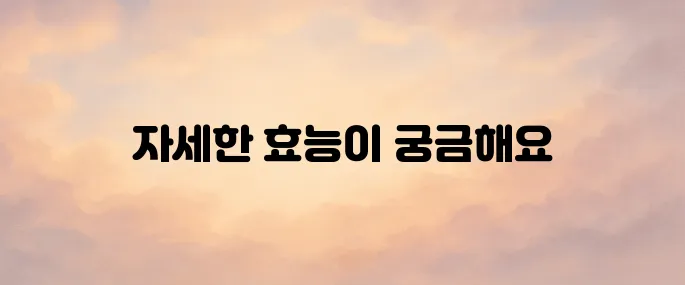 콜라겐 효능 총정리│피부·관절·노화방지에 좋은 이유