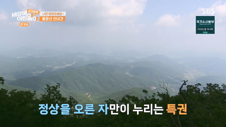 순간포착 세상에 이런일이.E1236.230708p.H264-F1RST.mp4_20230709_171121.631.jpg
