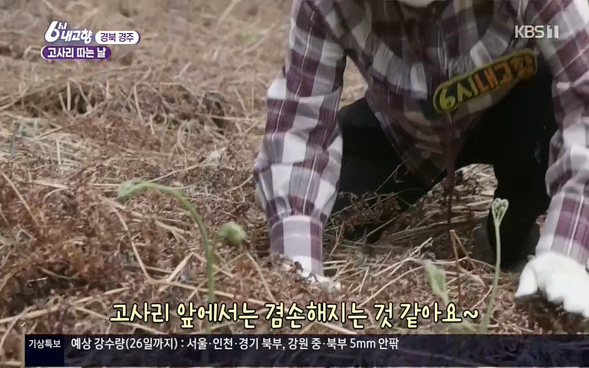 6시 내고향.E7518.220426p.H264-F1RST.mp4_20220504_185204.452.jpg