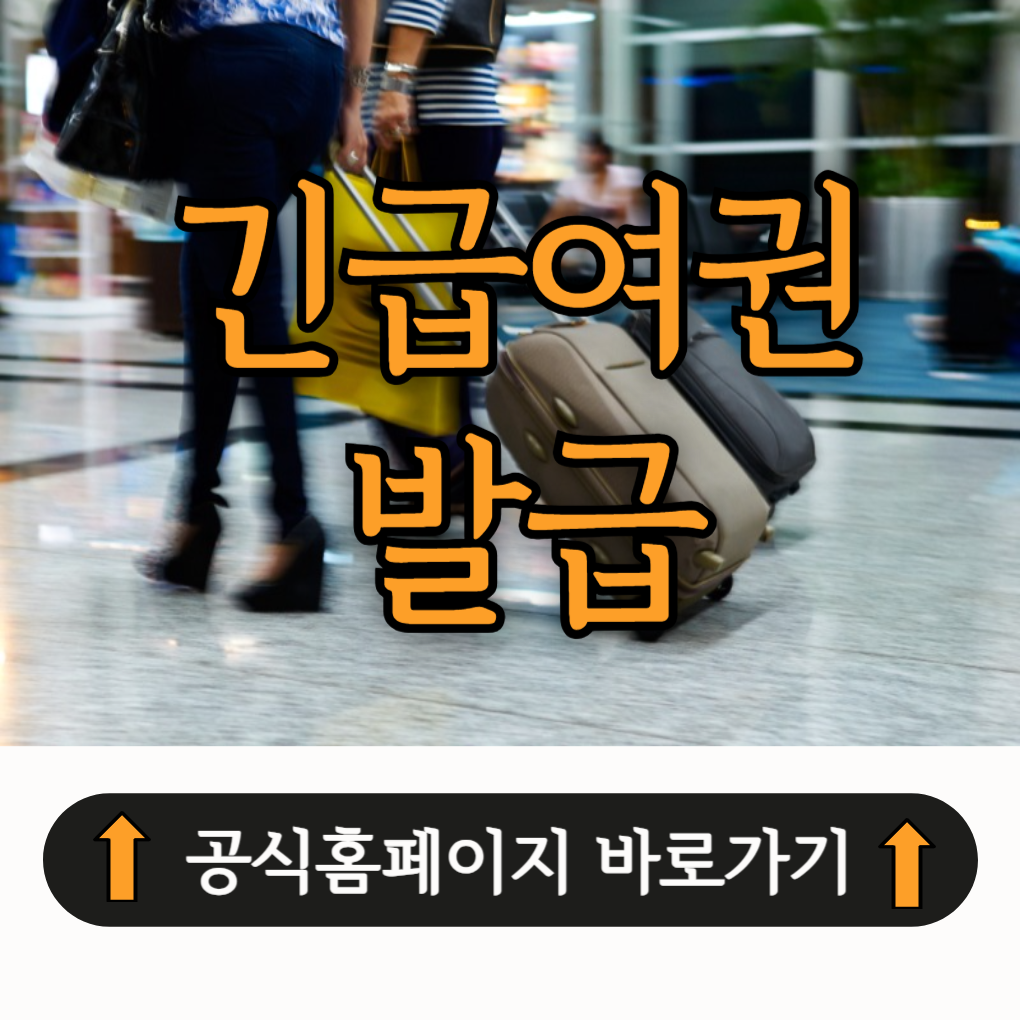 긴급여권 발급