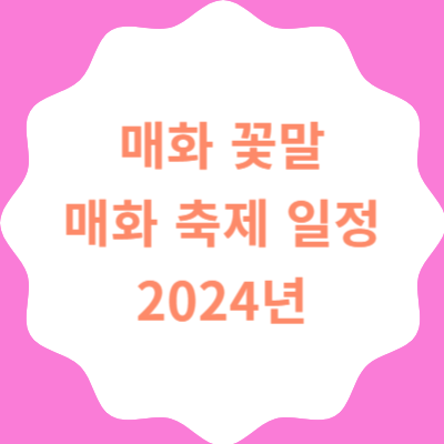 매화 꽃말 매화 축제 일정 2024년