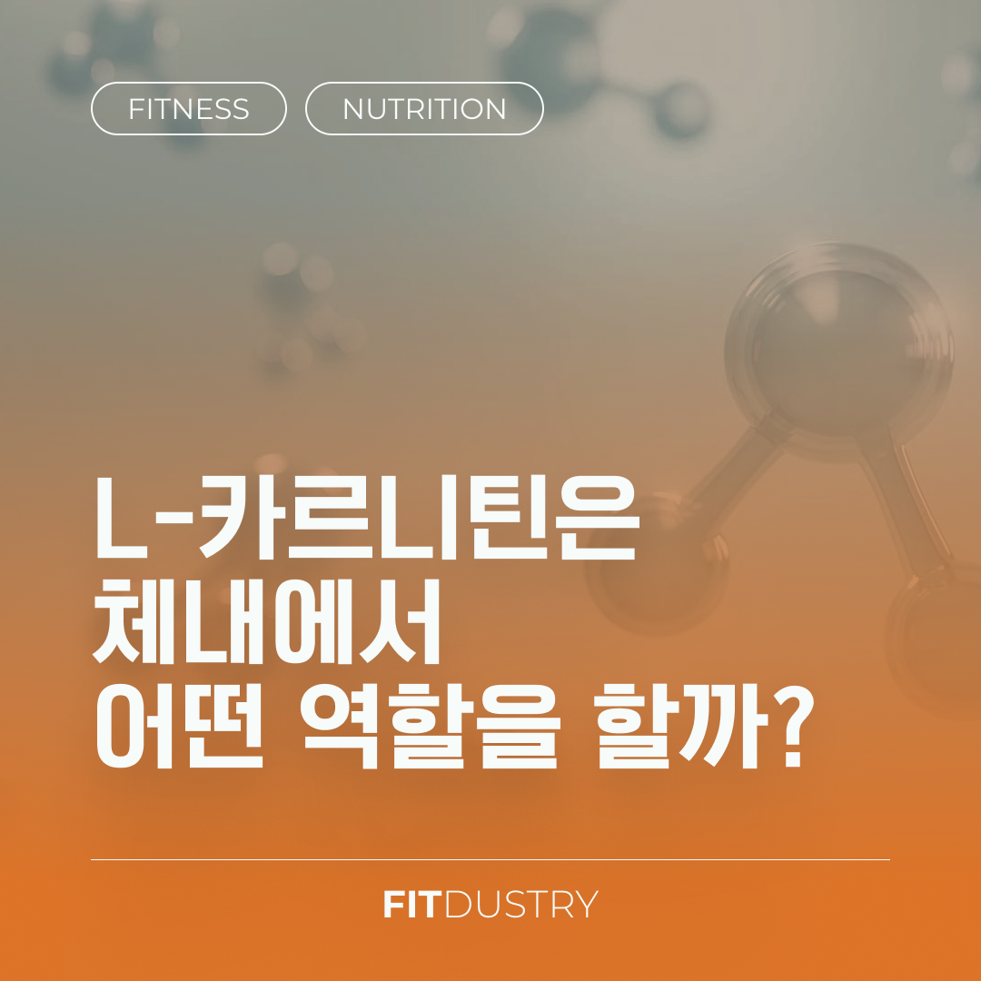 L-카르니틴은 체내에서 어떤 역할을 할까?
