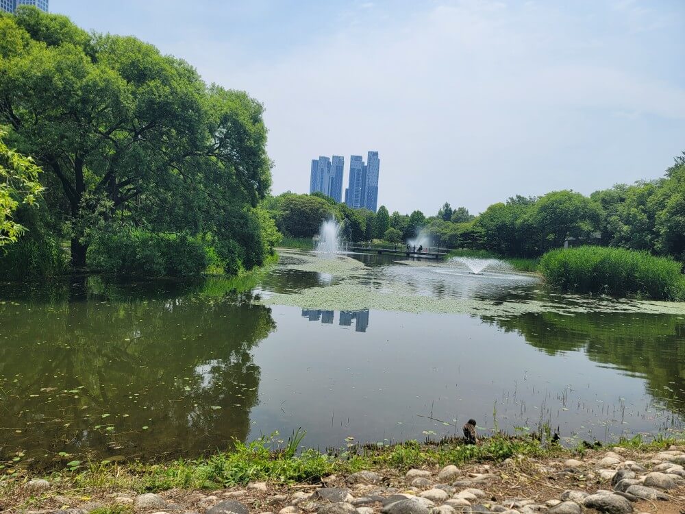 서울숲