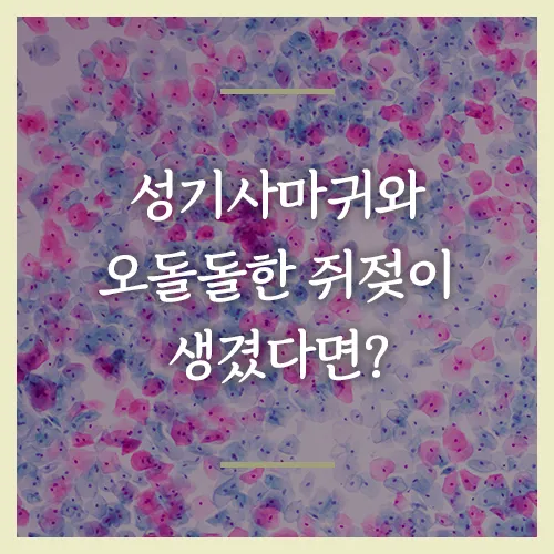 성기사마귀-HPV