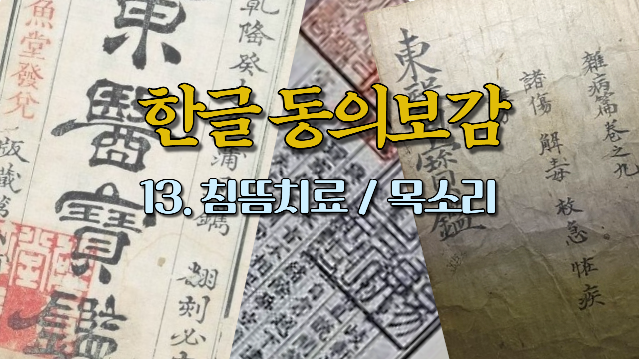  13. 침뜸치료 / 목소리 (내경편 목소리)
