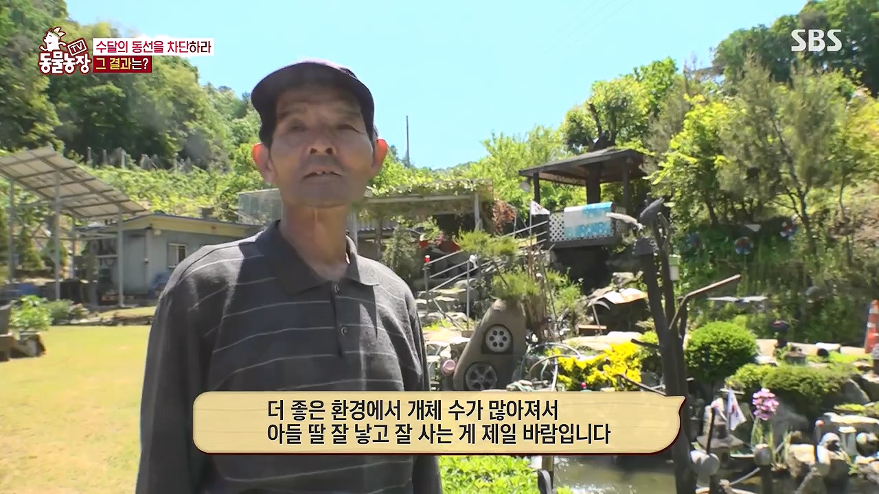 TV 동물농장.E1178.240630.ts_20240630_164650.106.jpg