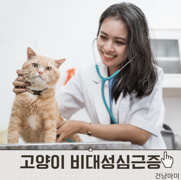 고양이 비대성 심근증