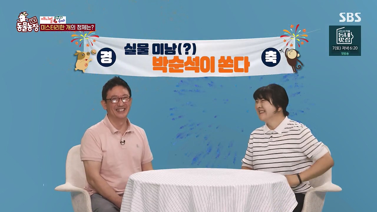 TV 동물농장.E1187.240902p-NEXT.mp4_20240901_153907.926.jpg