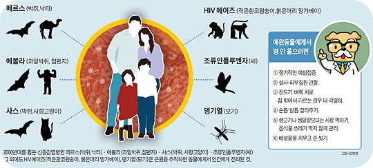 고양이신경근육병증8