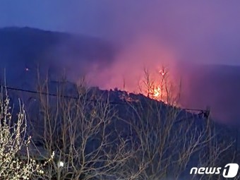 홍성 대전 산불