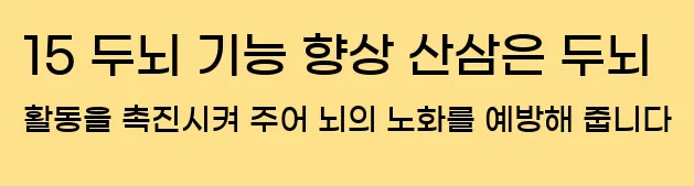  15 두뇌 기능 향상 산삼은 두뇌 활동을 촉진시켜 주어 뇌의 노화를 예방해 줍니다