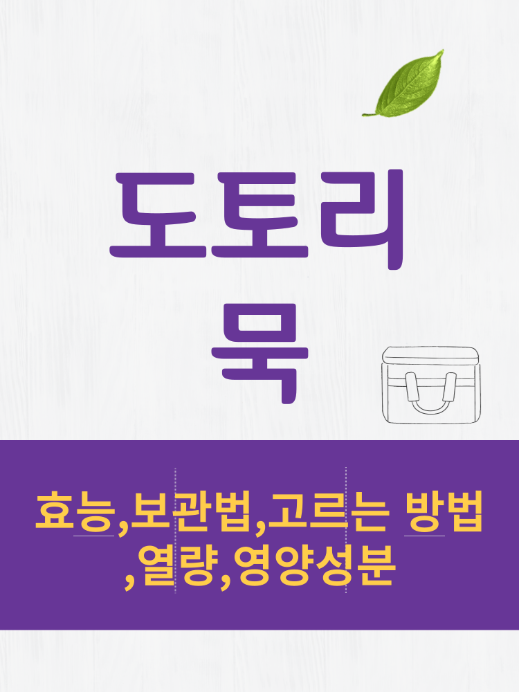 도토리묵 효능 및 열량과 보관법 칼로리 총정리 