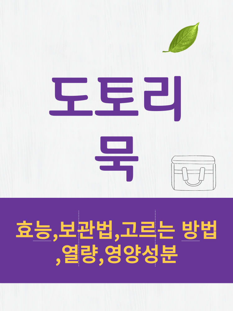 도토리묵 효능 및 열량과 보관법 ⭕칼로리 총정리 👍