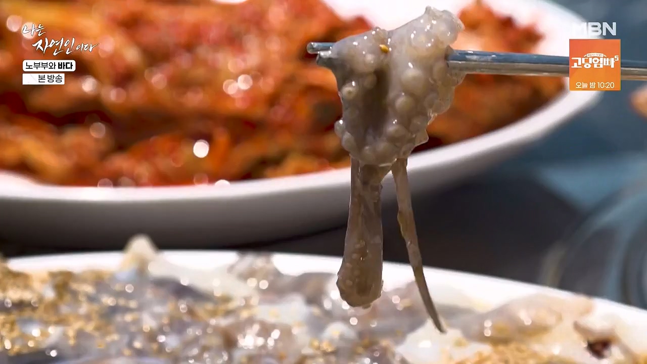 나는 자연인이다.E610.240620p-NEXT.mp4_20240620_194750.847.jpg