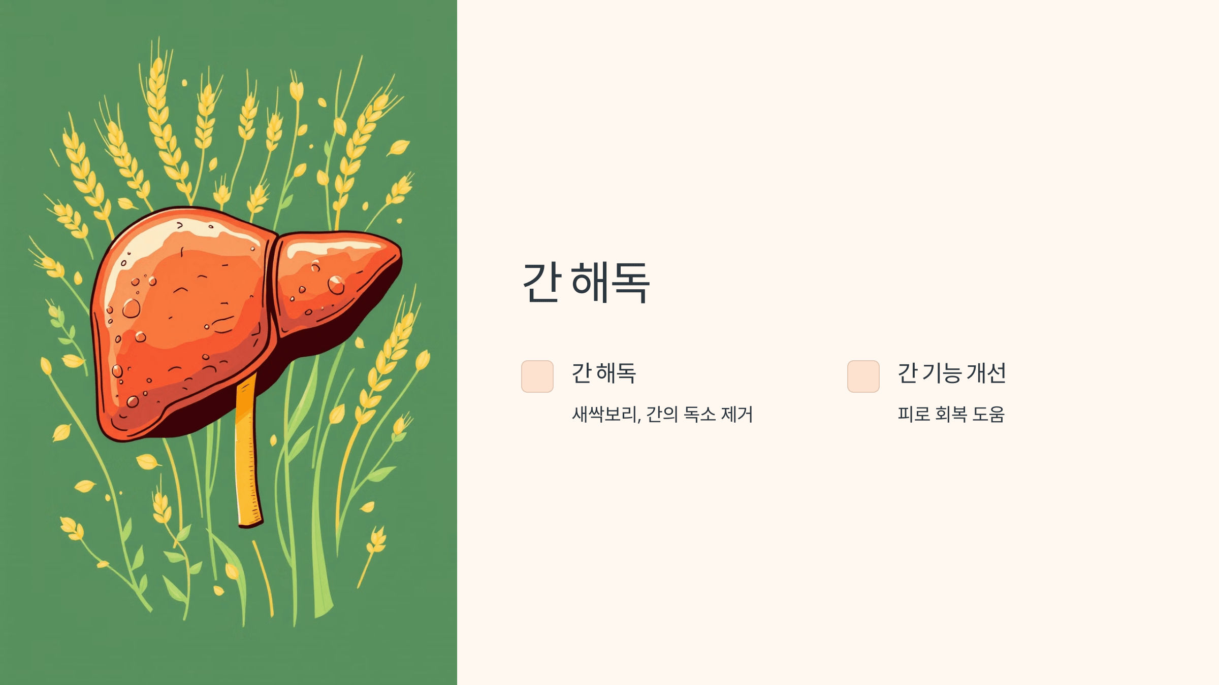 새싹보리 사진입니다.