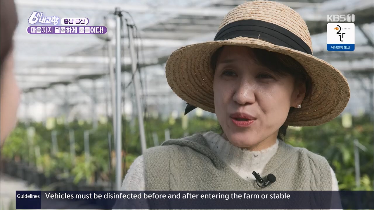 6시 내고향.E7922.231129p.H264-F1RST.mp4_20231129_203823.313.jpg