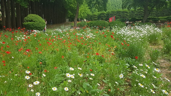 익산 아가페 정원