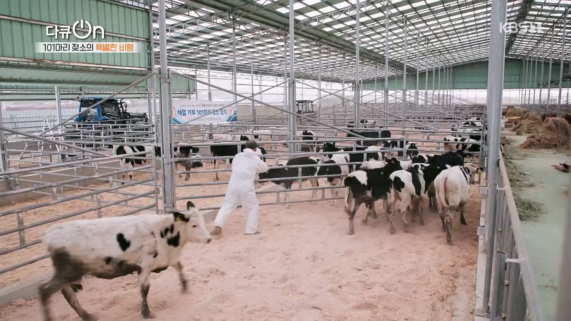 다큐 On.E184.230203p.H264-F1RST.mp4_20230211_175635.459.jpg