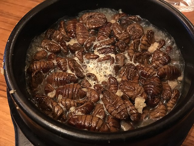 번데기