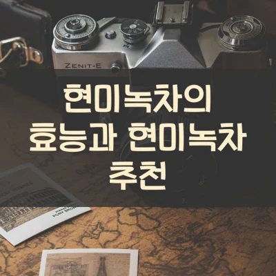 현미녹차의 효능과 현미녹차 추천 현미녹차의 효능과 현미녹차 추천